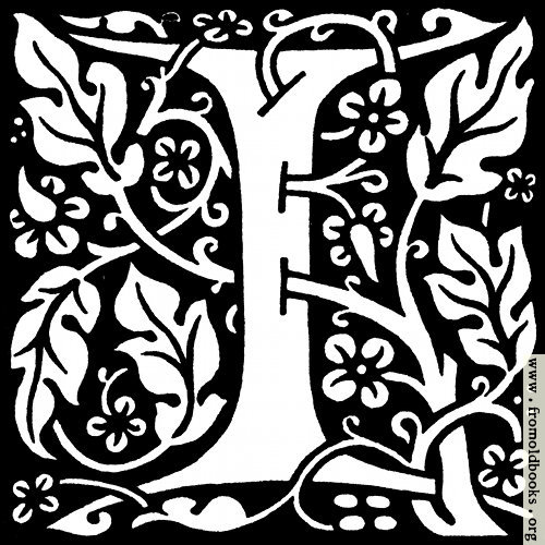 [Picture: decorative letter “I”]