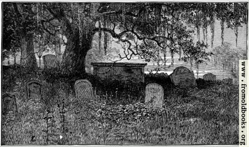 [Picture: Romantic and Atmospheric Graveyard]