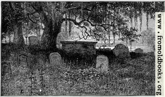 [picture: Romantic and Atmospheric Graveyard]