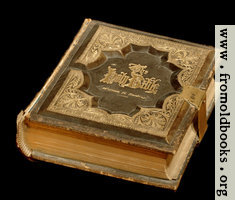 Holy Bible, 1875 edition (black background)