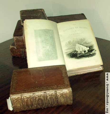 [Picture: Antique Books: Woodward]