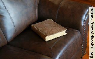 [picture: Victorian book on leather couch]